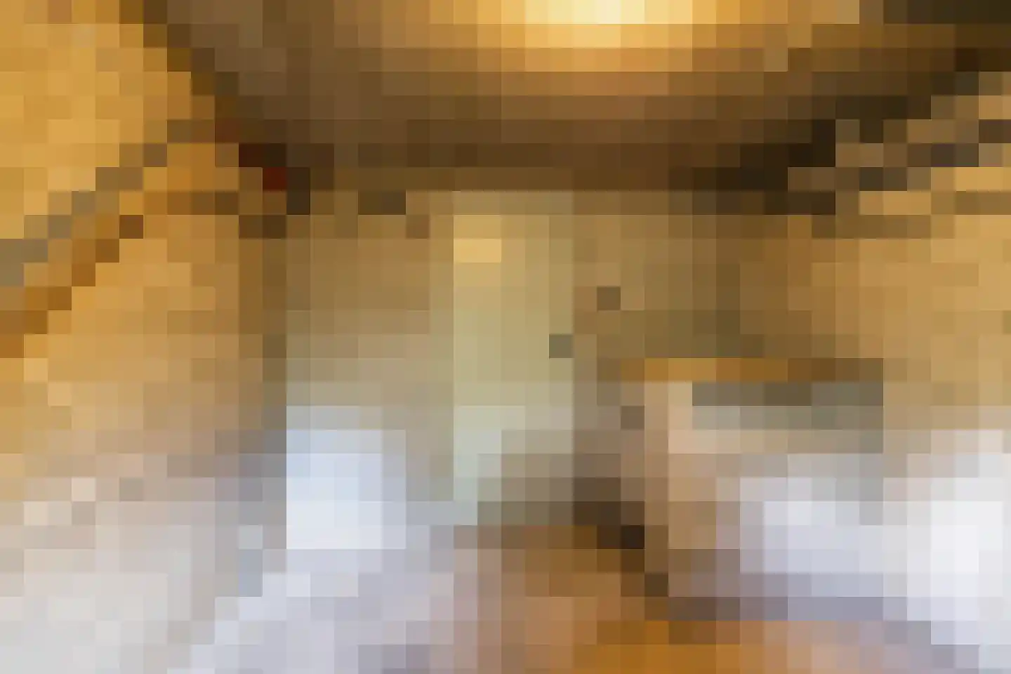 Hora Siccamasingel 43 Groningen thumbnail 33