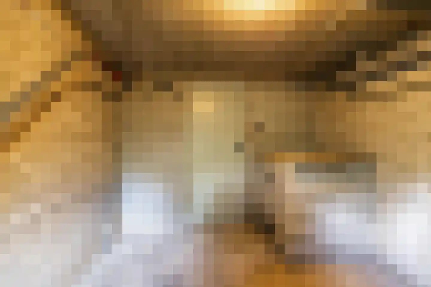 Hora Siccamasingel 43 Groningen thumbnail 33