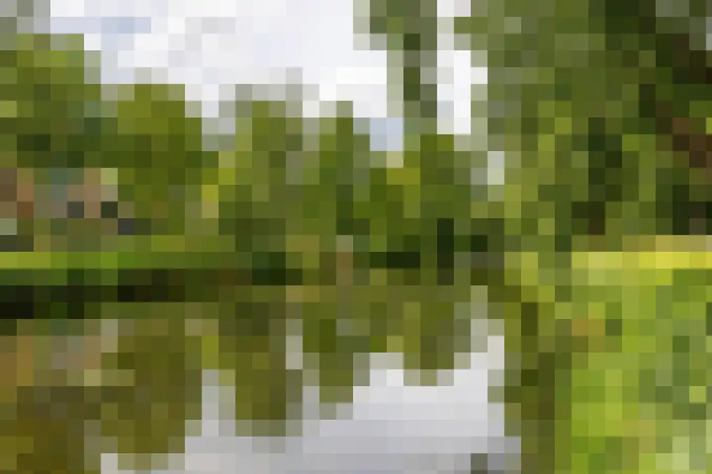 Hora Siccamasingel 43 Groningen thumbnail 36