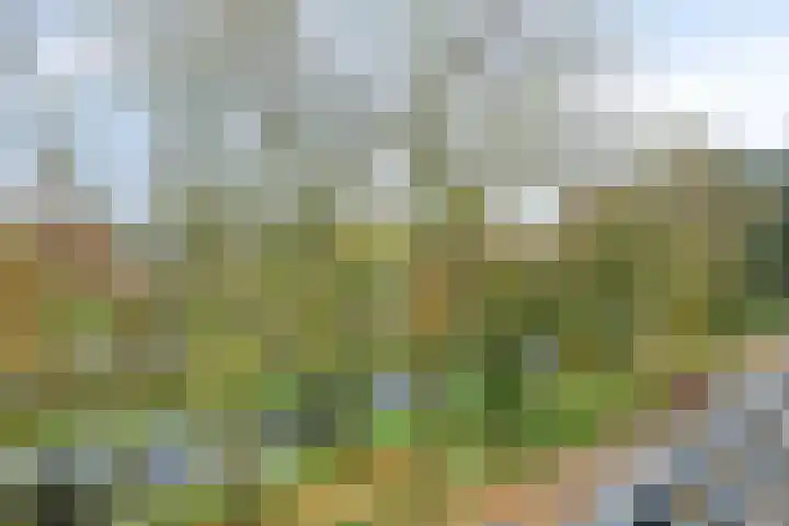 Hora Siccamasingel 48 Groningen thumbnail 28