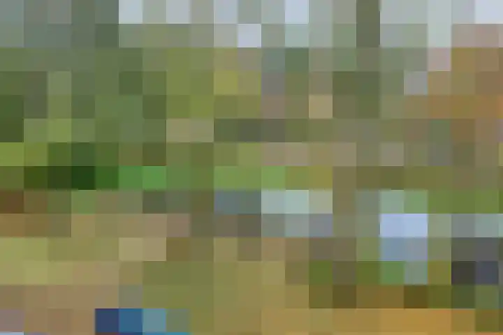 Hora Siccamasingel 48 Groningen thumbnail 29
