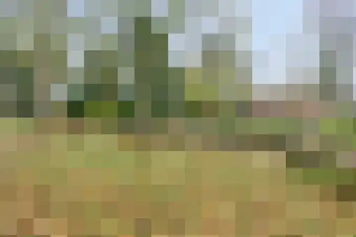 Hora Siccamasingel 48 Groningen thumbnail 34