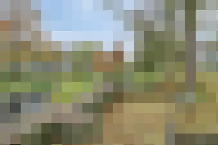 Hora Siccamasingel 48 Groningen thumbnail 35