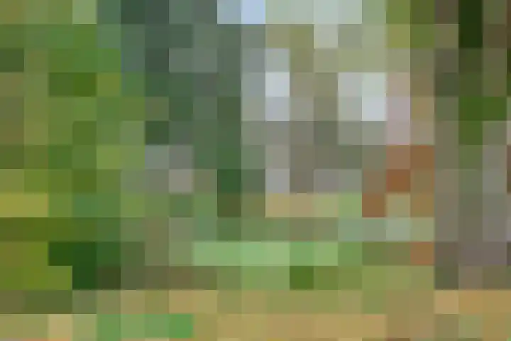 Hora Siccamasingel 48 Groningen thumbnail 36