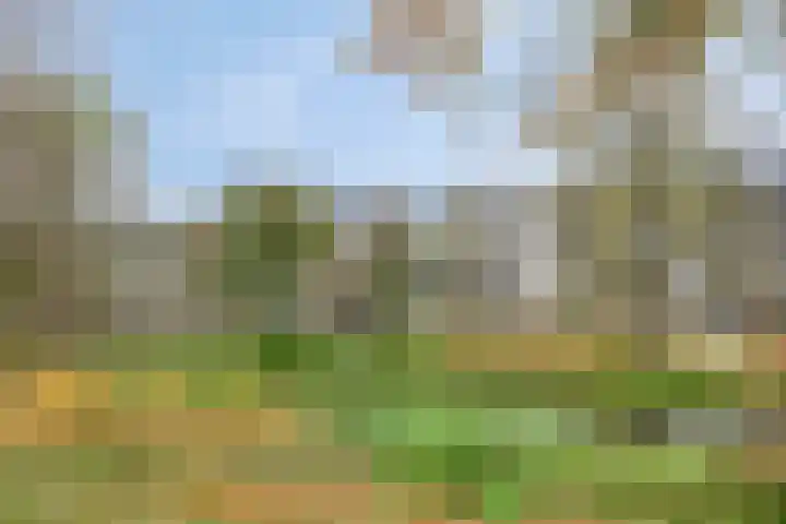 Hora Siccamasingel 48 Groningen thumbnail 37