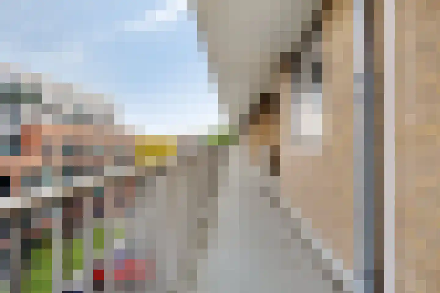 Hora Siccamasingel 50 Groningen thumbnail 12