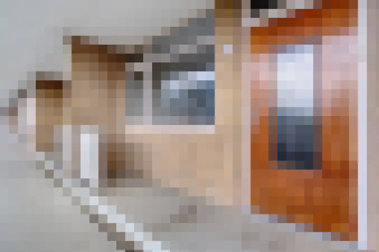 Hora Siccamasingel 50 Groningen thumbnail 14