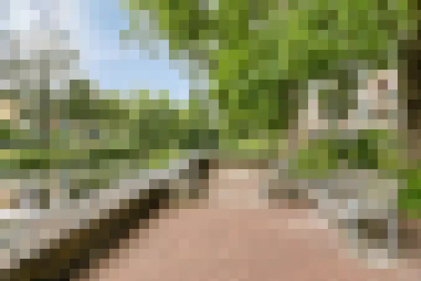 Hora Siccamasingel 50 Groningen thumbnail 30