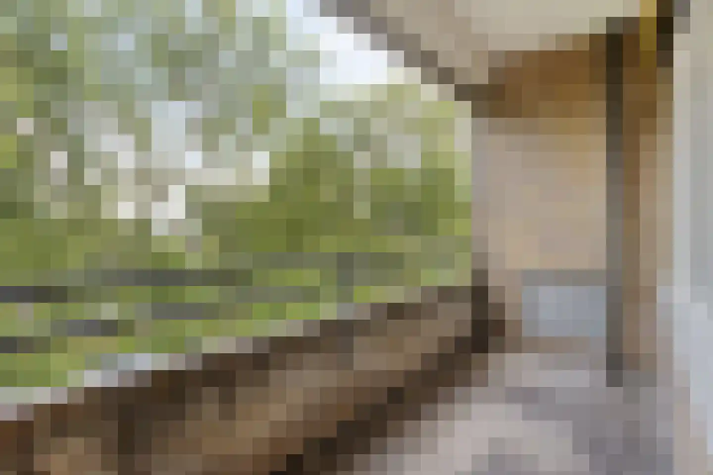 Hora Siccamasingel 50 Groningen thumbnail 5