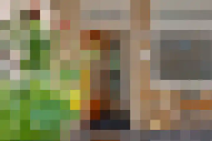 Hora Siccamasingel 54 a Groningen thumbnail 16