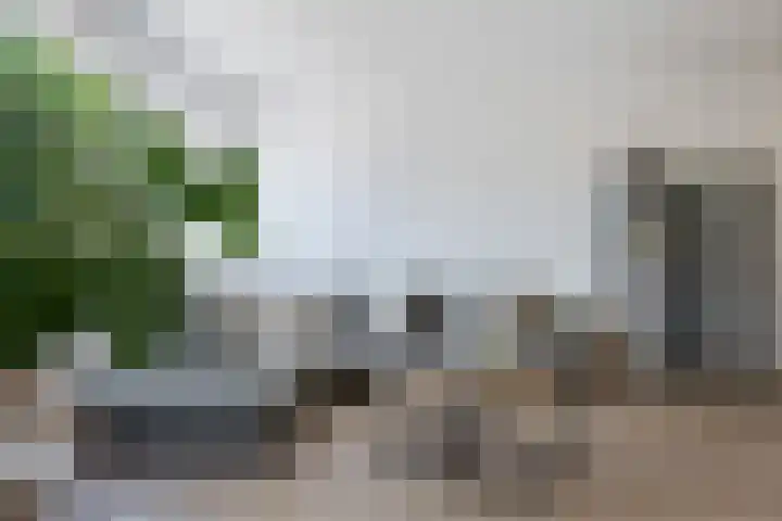 Hora Siccamasingel 54 a Groningen thumbnail 28