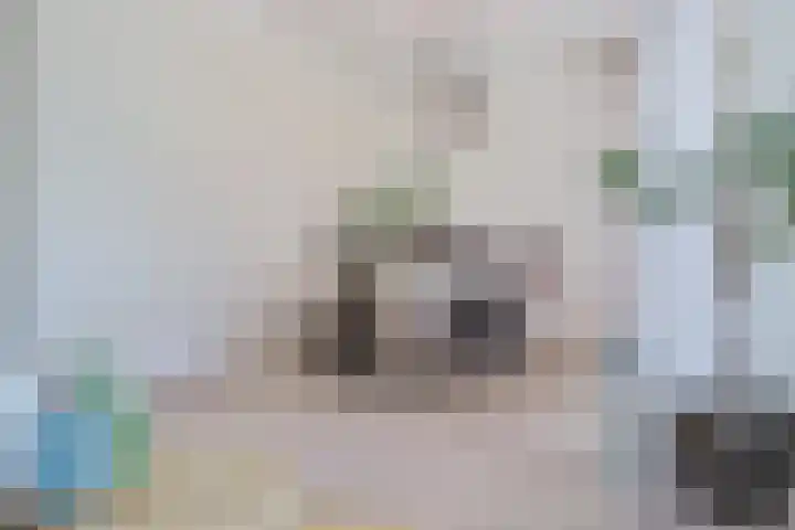 Hora Siccamasingel 54 a Groningen thumbnail 30