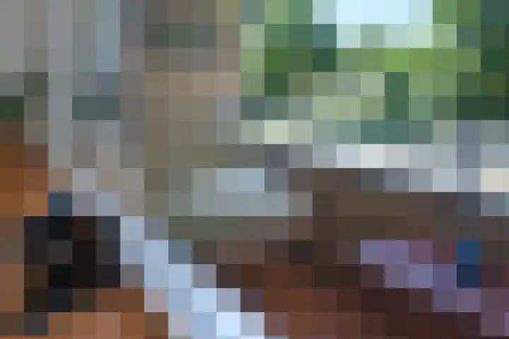 Hora Siccamasingel 54 a Groningen thumbnail 34