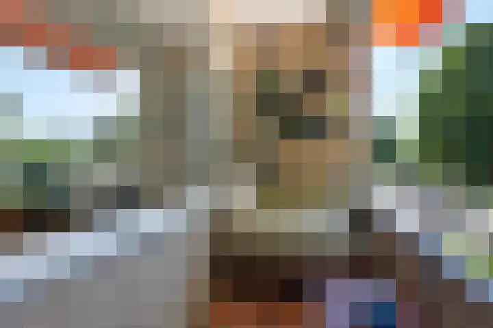 Hora Siccamasingel 54 a Groningen thumbnail 35
