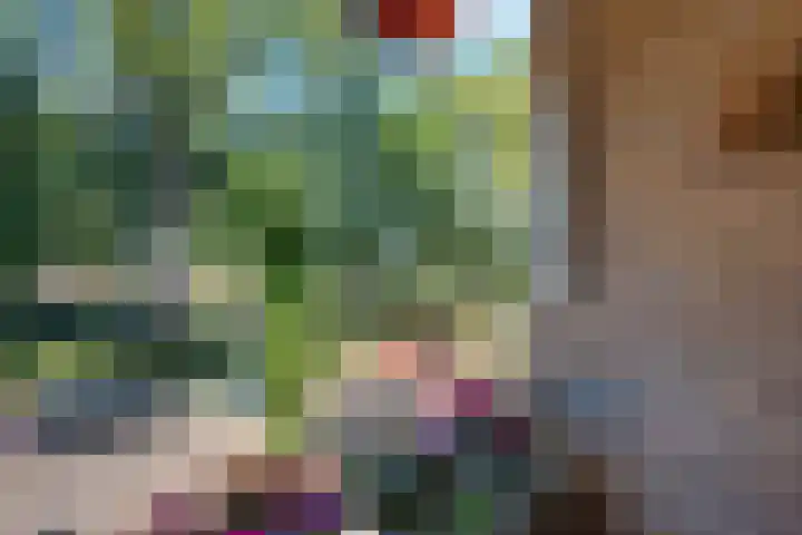Hora Siccamasingel 54 a Groningen thumbnail 36
