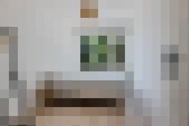Hora Siccamasingel 54 a Groningen thumbnail 4