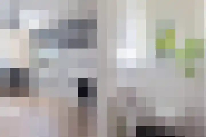 Hora Siccamasingel 54 a Groningen thumbnail 45