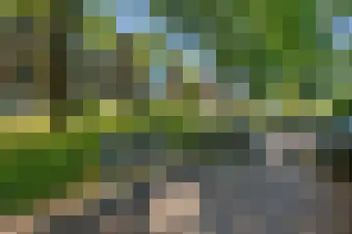 Hora Siccamasingel 54 a Groningen thumbnail 48