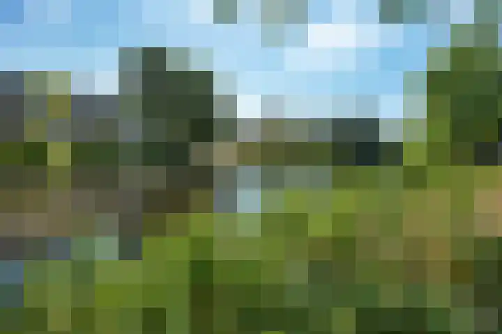 Hora Siccamasingel 54 a Groningen thumbnail 50