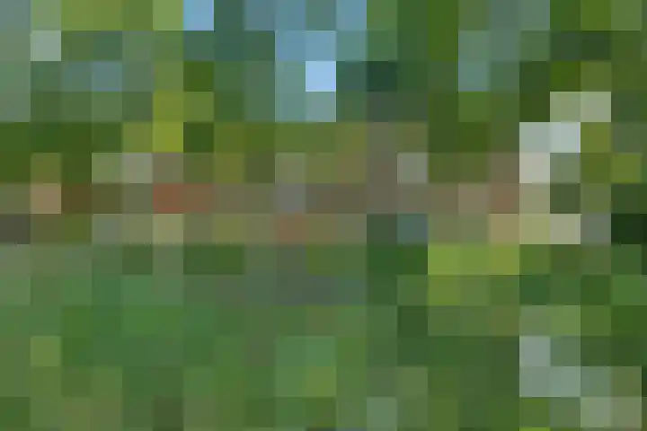 Hora Siccamasingel 54 a Groningen thumbnail 52