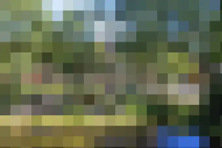 Hora Siccamasingel 54 a Groningen thumbnail 54