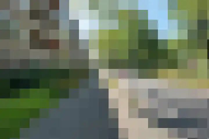 Hora Siccamasingel 54 a Groningen thumbnail 55
