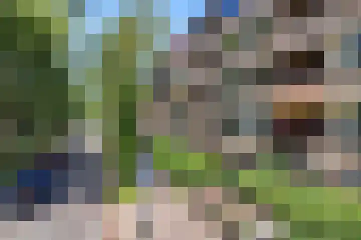 Hora Siccamasingel 54 a Groningen thumbnail 8