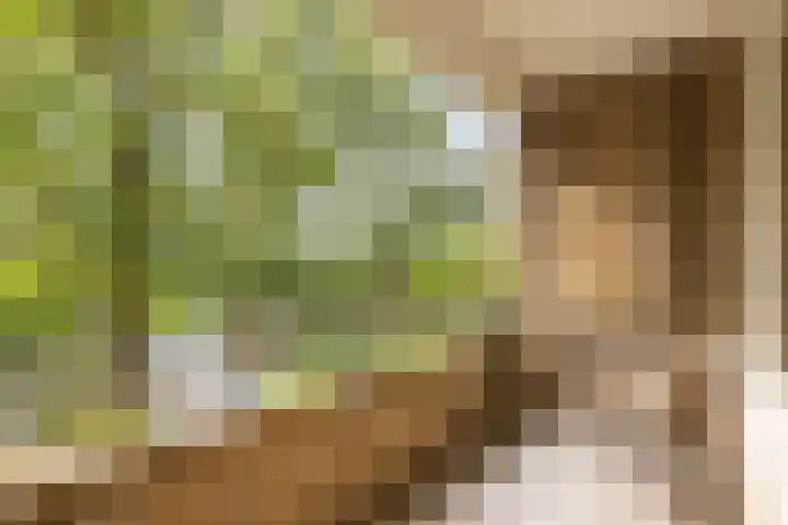 Hora Siccamasingel 56 a Groningen thumbnail 20