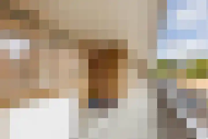 Hora Siccamasingel 56 a Groningen thumbnail 22
