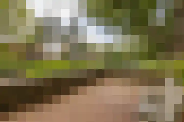 Hora Siccamasingel 56 a Groningen thumbnail 26
