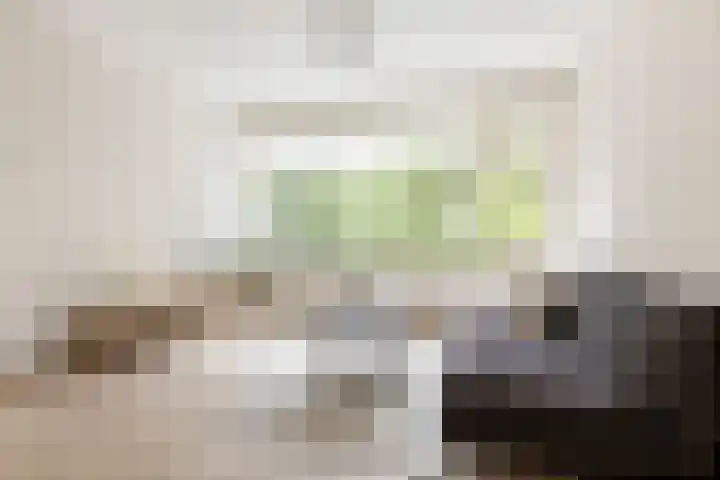 Hora Siccamasingel 56 a Groningen thumbnail 7