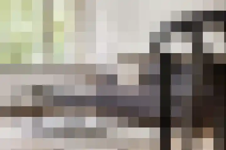 Hora Siccamasingel 56 a Groningen thumbnail 8