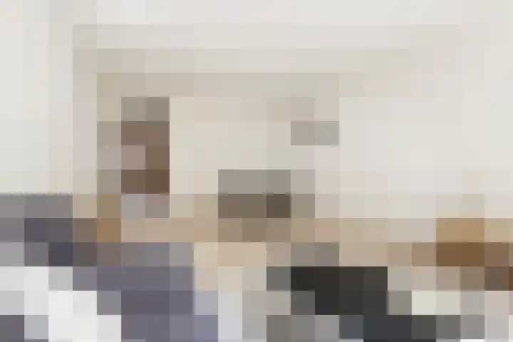 Hora Siccamasingel 56 a Groningen thumbnail 9