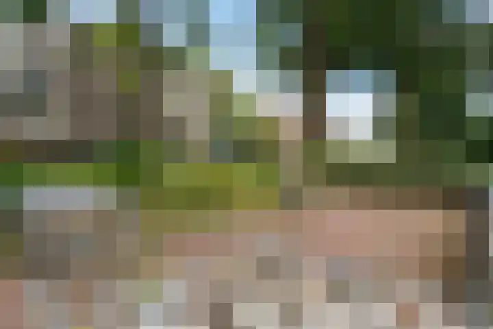 Hora Siccamasingel 62 a Groningen thumbnail 10