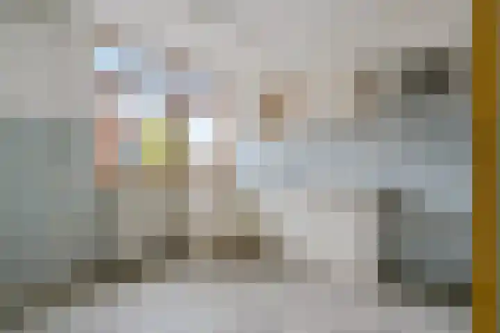 Hora Siccamasingel 62 a Groningen thumbnail 15