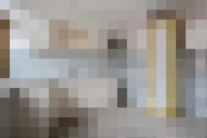 Hora Siccamasingel 62 a Groningen thumbnail 16