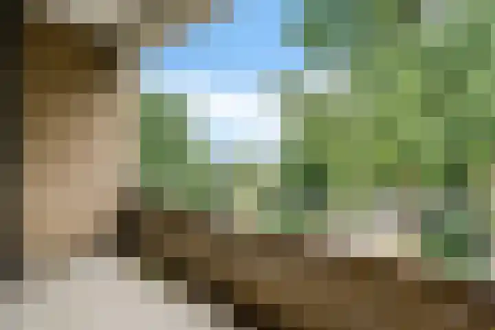 Hora Siccamasingel 62 a Groningen thumbnail 29
