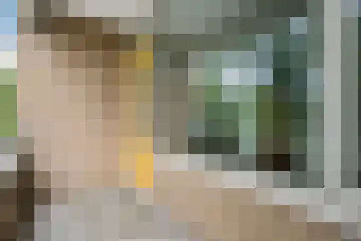 Hora Siccamasingel 62 a Groningen thumbnail 30