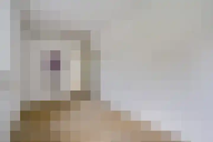 Hora Siccamasingel 62 a Groningen thumbnail 35