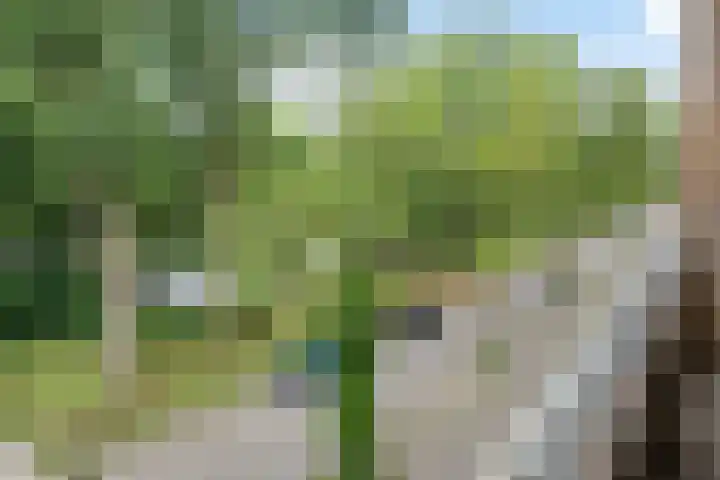 Hora Siccamasingel 62 a Groningen thumbnail 5