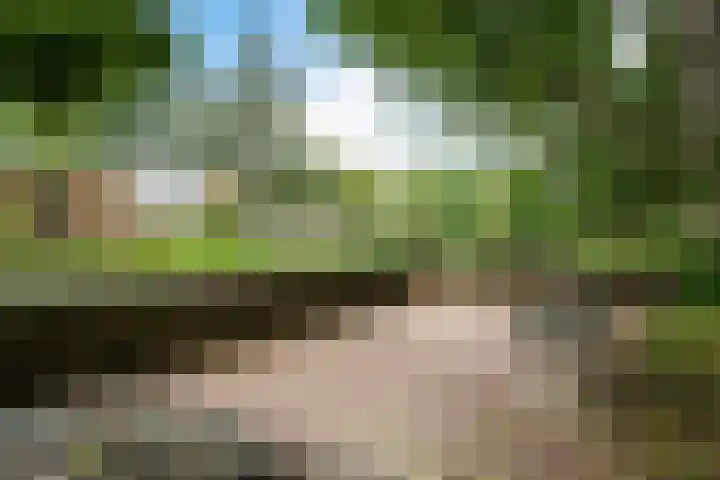 Hora Siccamasingel 62 a Groningen thumbnail 9