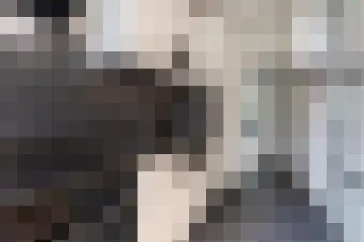 Hora Siccamasingel 75 Groningen thumbnail 13