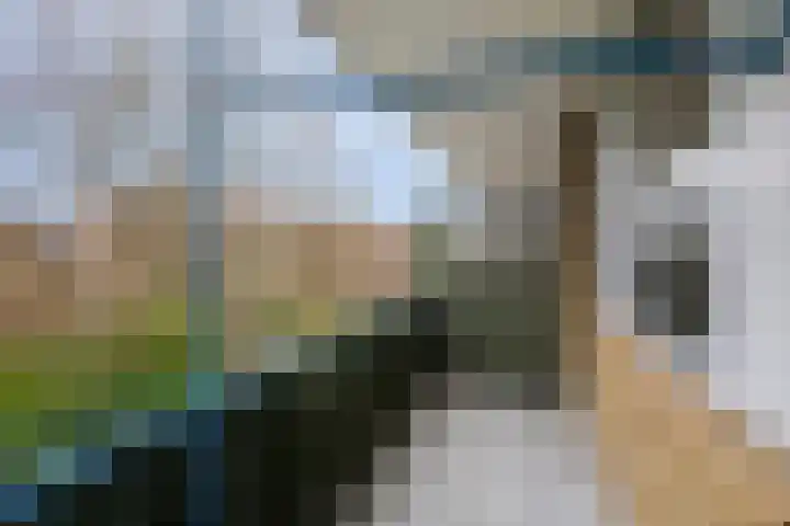 Hora Siccamasingel 75 Groningen thumbnail 22