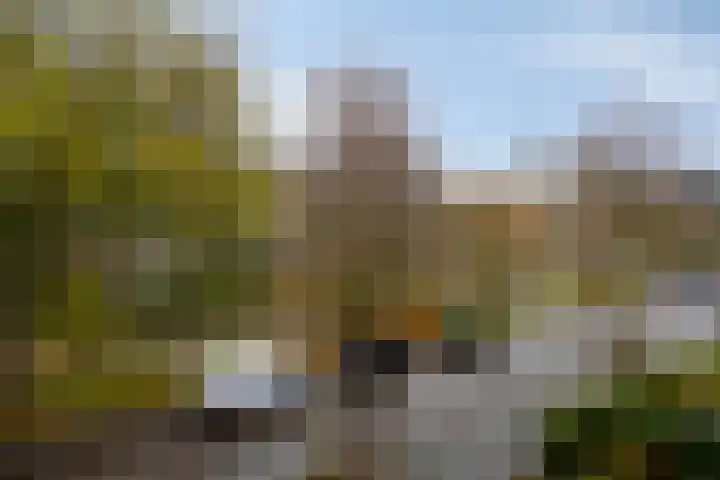 Hora Siccamasingel 75 Groningen thumbnail 23
