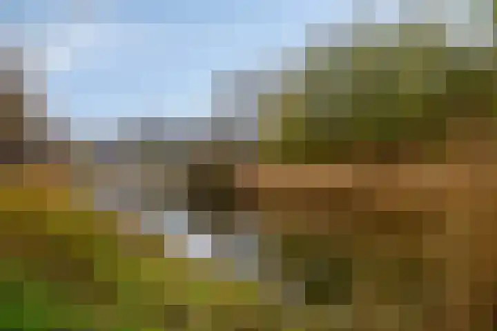 Hora Siccamasingel 75 Groningen thumbnail 27