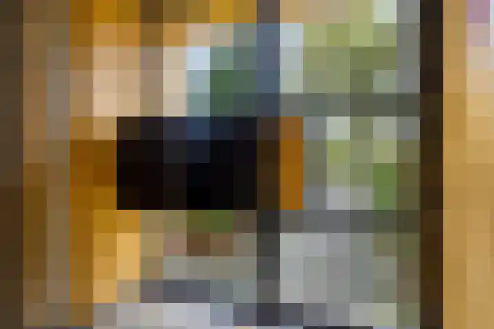 Hora Siccamasingel 75 Groningen thumbnail 6