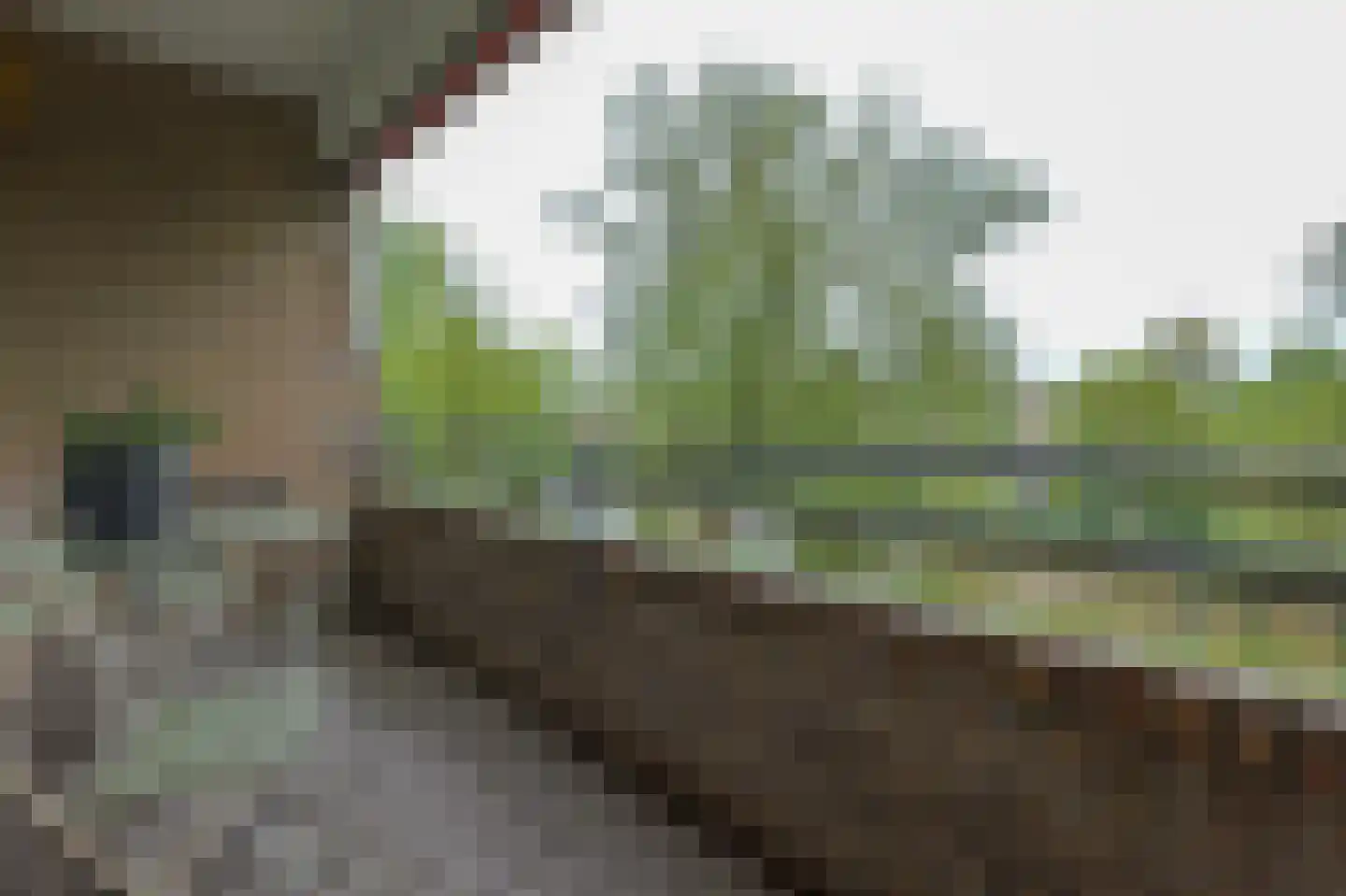Hora Siccamasingel 8 Groningen thumbnail 13