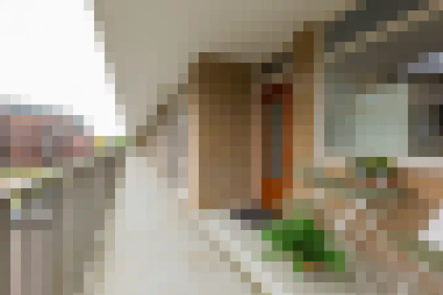 Hora Siccamasingel 8 Groningen thumbnail 20