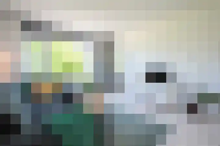 Hora Siccamasingel 9 Groningen thumbnail 17