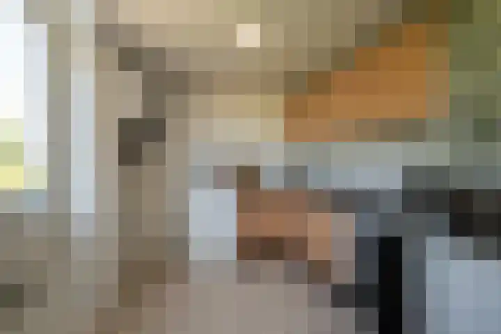 Hora Siccamasingel 9 Groningen thumbnail 24